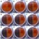 Fungal growth (as seen on the left side of the petri dish) as observed during the first 48 hours of the experiment.